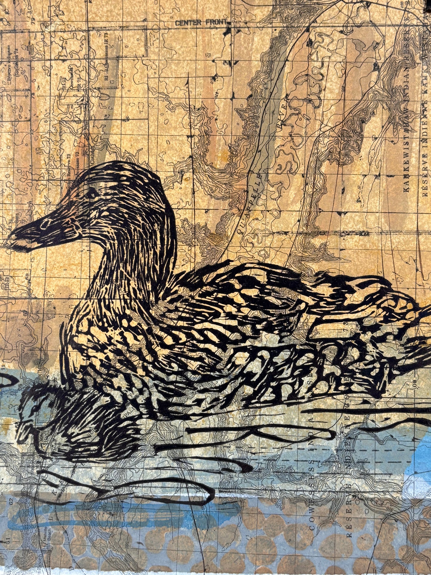 Mallard Hen with Ducklings