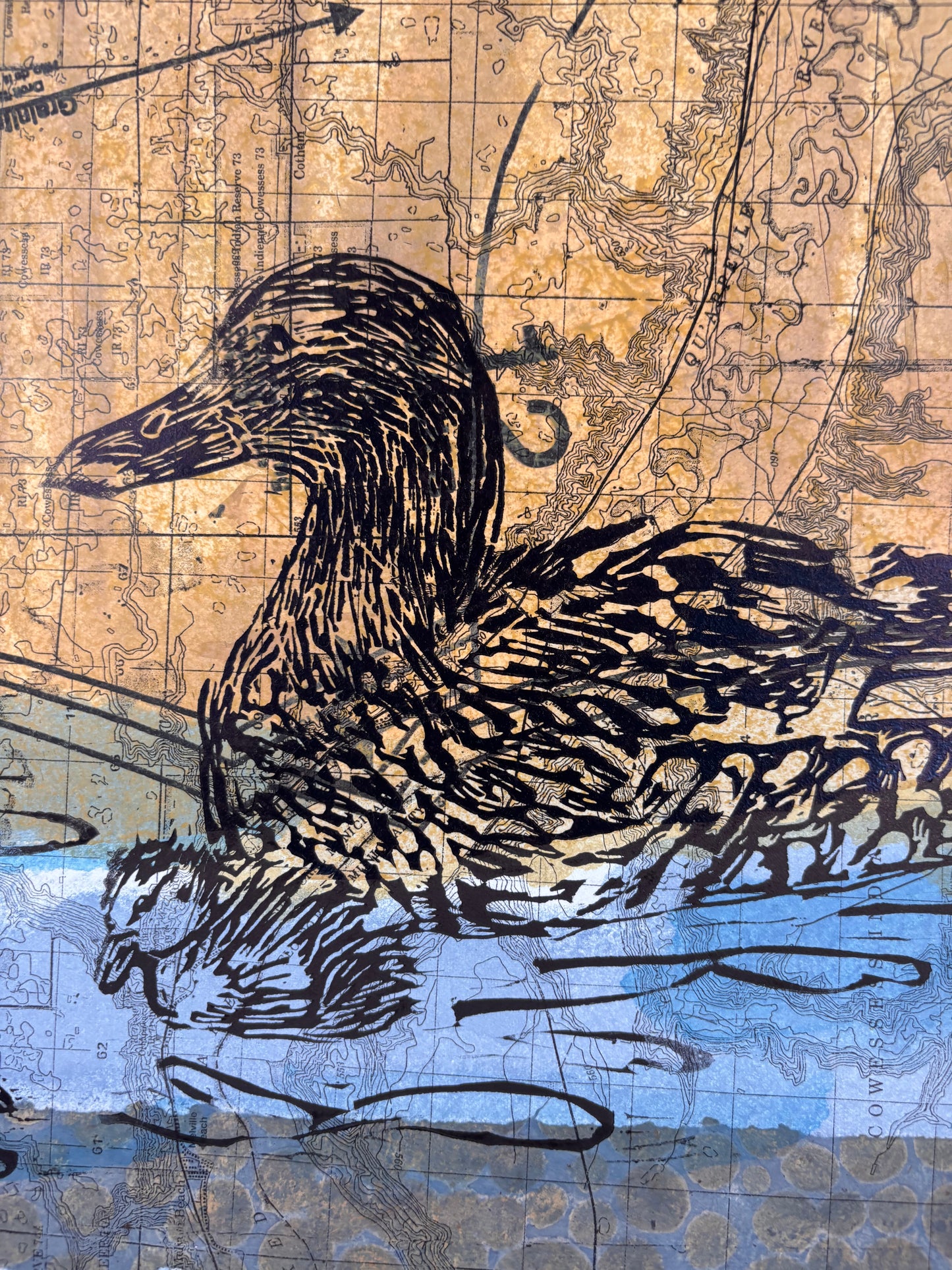 Mallard Hen with Ducklings
