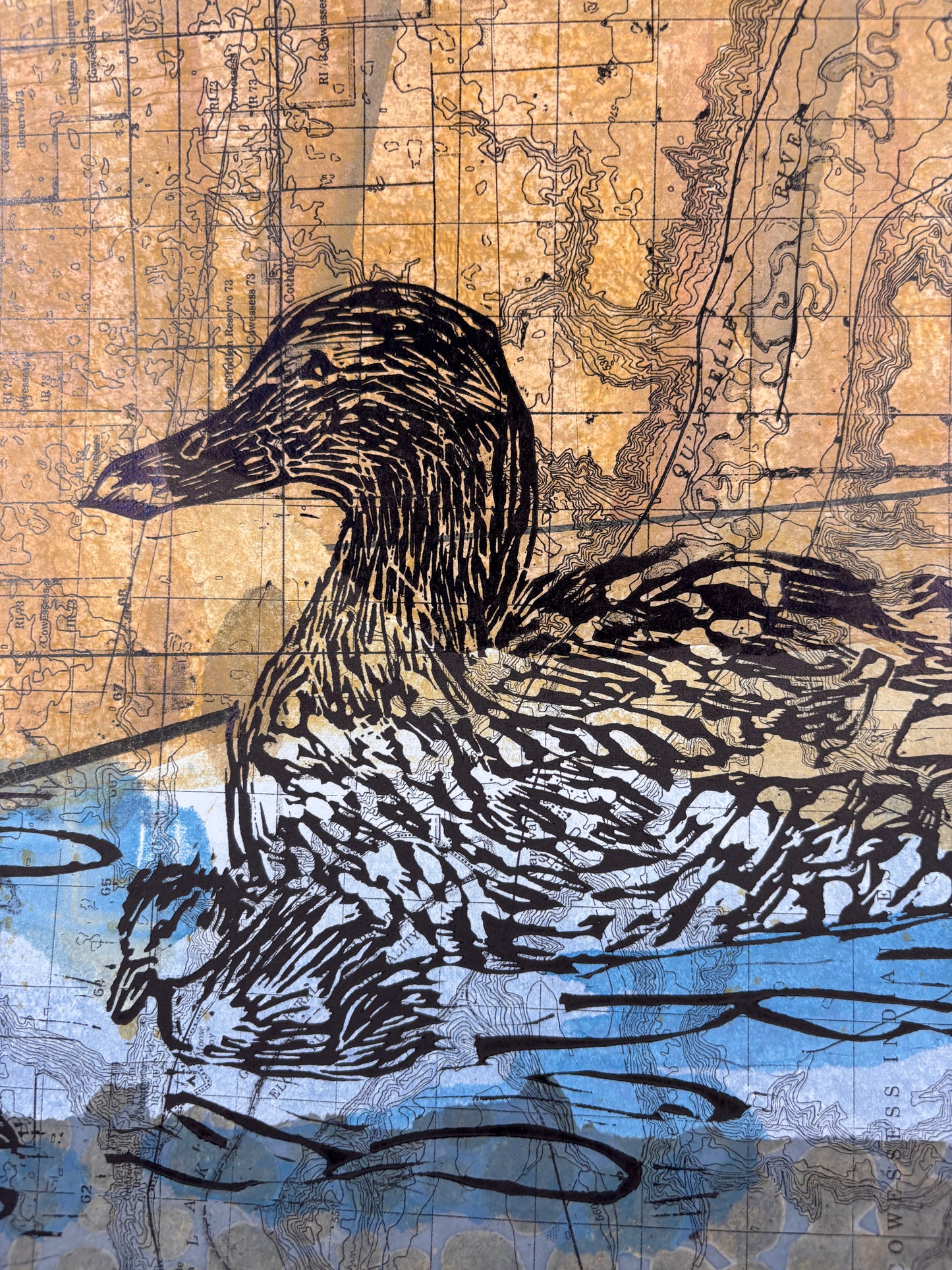 Mallard Hen with Ducklings