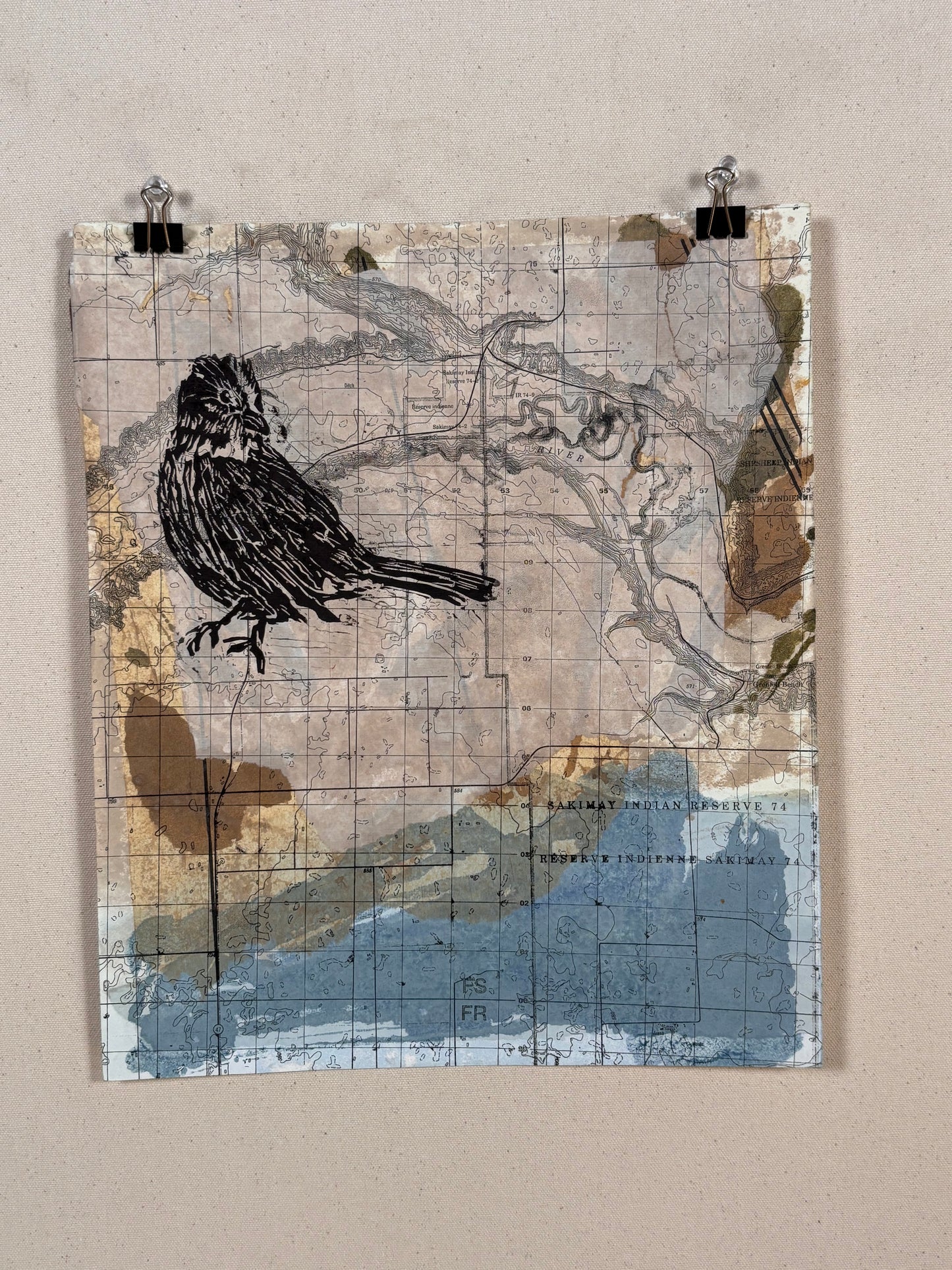 Swamp Sparrow 1