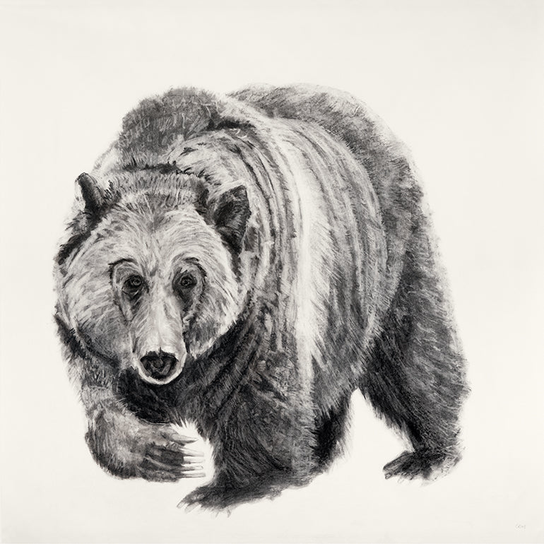 Blanchie Bear Limited Edition Print