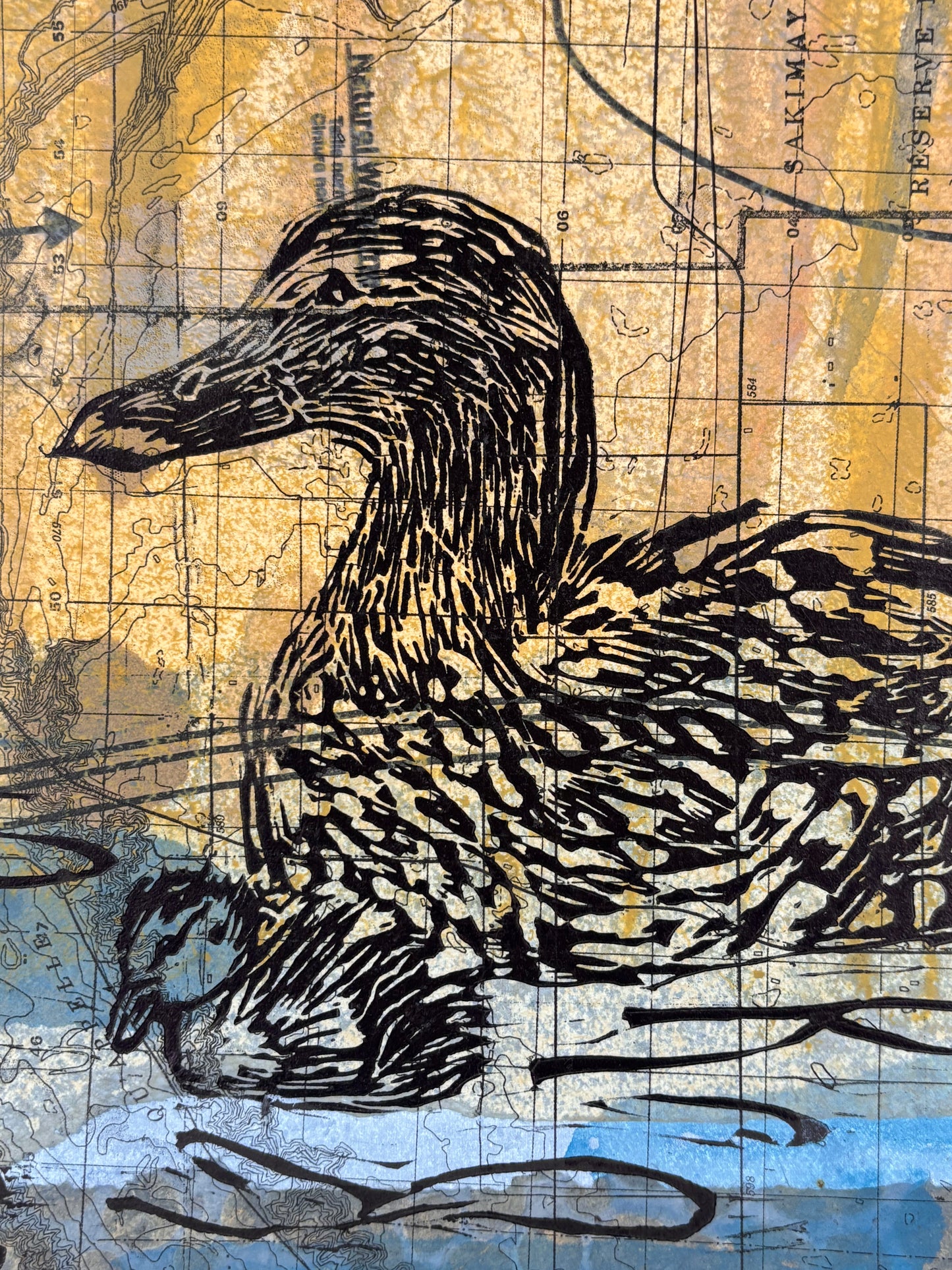 Mallard Hen with Ducklings