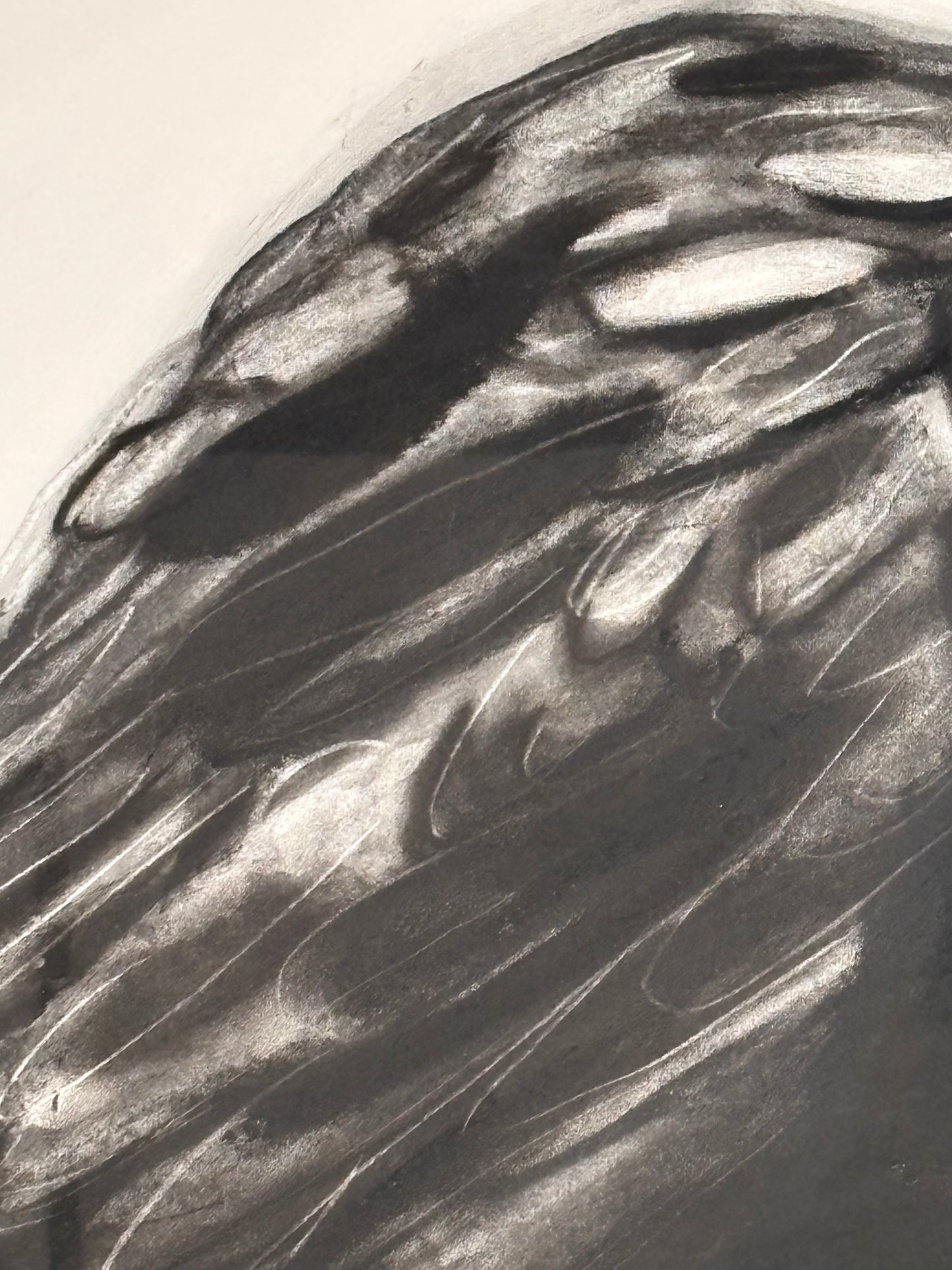 Raven Left (framed original)