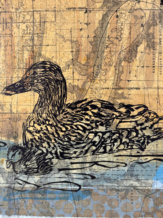 Mallard Hen with Ducklings