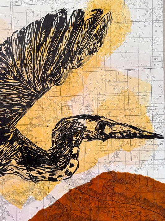 Great Blue Heron