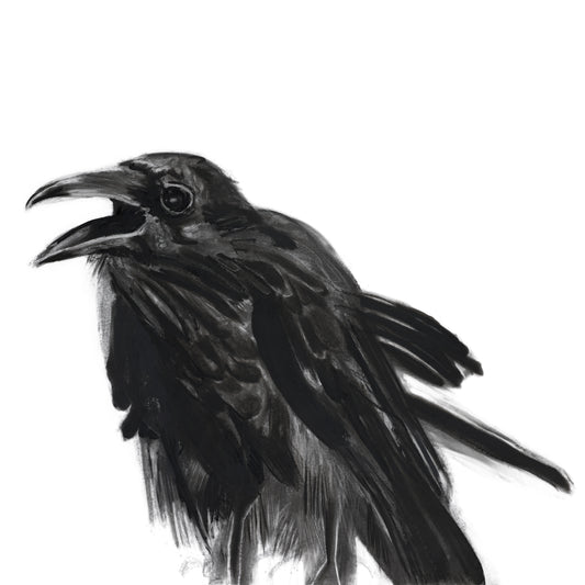 Raven Right Limited Edition Print