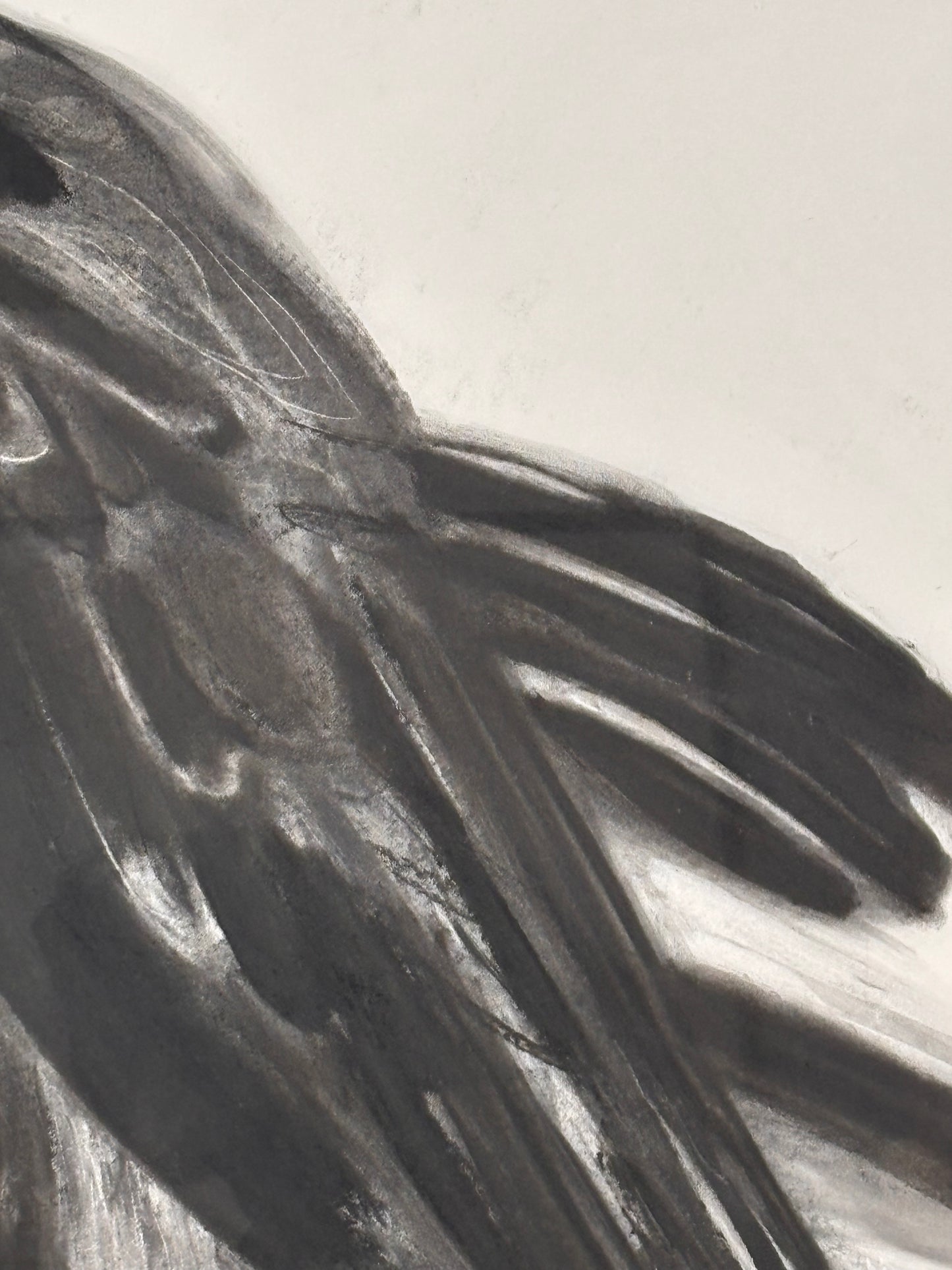 Raven Right (framed original)