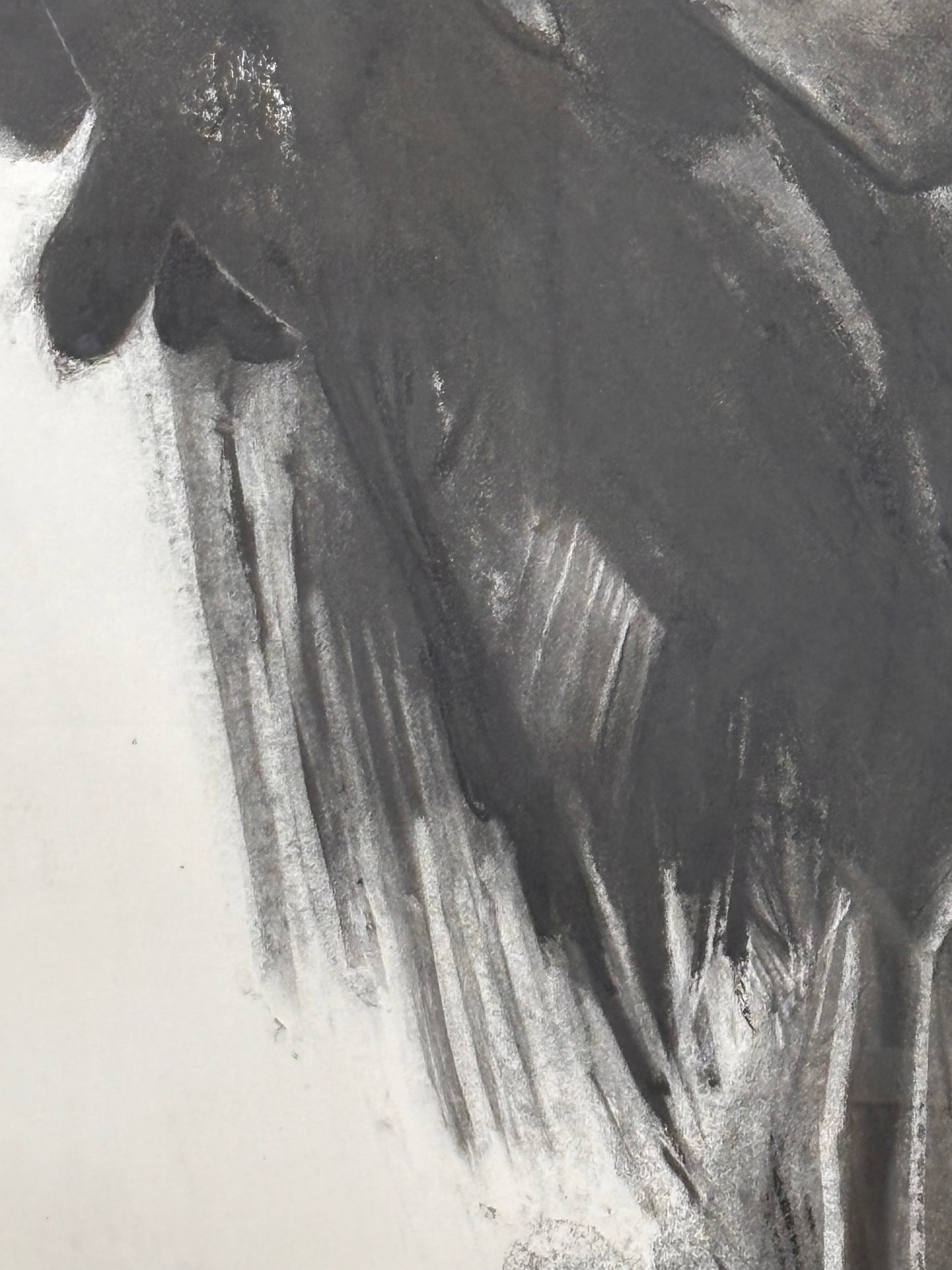 Raven Right (framed original)