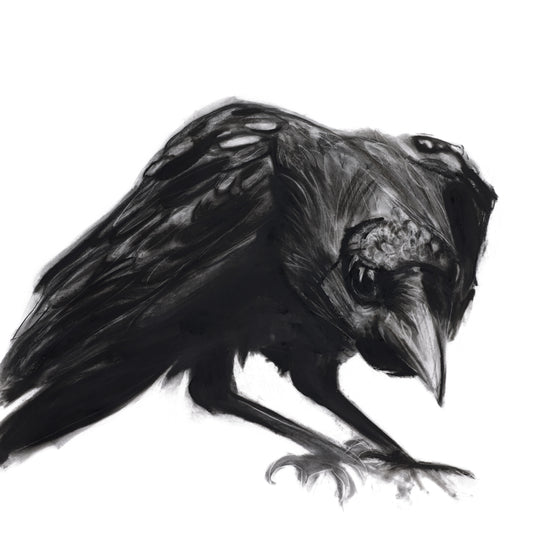 Raven Left Limited Edition Print