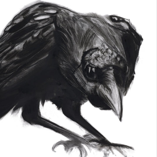 Raven Left (framed original)