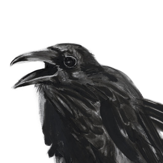 Raven Right (framed original)