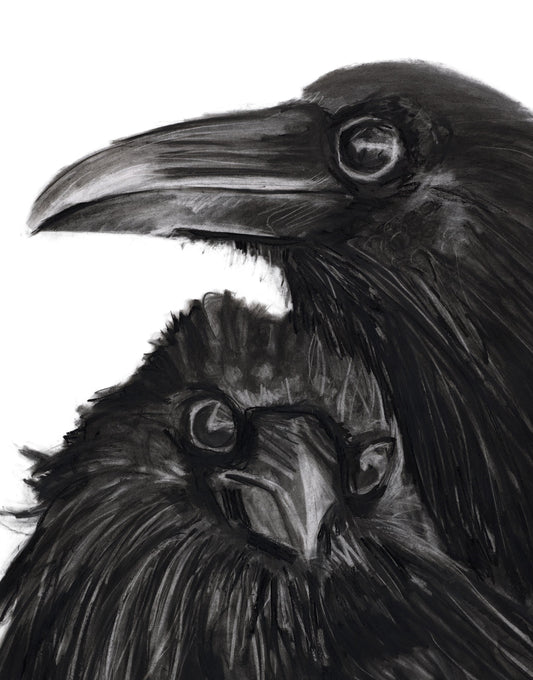 Raven Pair (framed original)